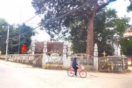 Yêu cầu đình chỉ xây dựng công trình chưa được cấp phép tại di tích chùa Bảo Tháp - xã Đại Thanh