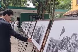 Chuỗi hoạt động chuyên đề “Chủ tịch Hồ Chí Minh – Tổng Tư lệnh Fidel Castro: Nghĩa tình son sắt đặc biệt"