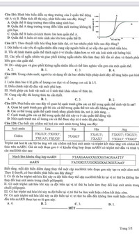 Đáp án gợi ý 9 đề thi minh họa kỳ thi tốt nghiệp THPT 1023