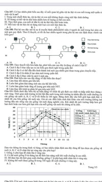 Đáp án gợi ý 9 đề thi minh họa kỳ thi tốt nghiệp THPT 1023