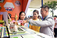 Hào hứng trải nghiệm tại Ngày hội công nghệ thông tin và STEM Hà Nội