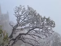 Sáng nay, băng giá lại phủ trắng đỉnh Fansipan