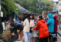 [Ảnh] 29 Tết nắng đẹp, chợ chật như nêm