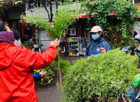 [Ảnh] 29 Tết nắng đẹp, chợ chật như nêm