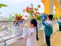 [Ảnh] Cùng xem học sinh tạo lập hệ thống tưới cây tự động trong 9 ngày nghỉ Tết Tân Sửu