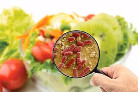 Phối hợp tháo gỡ vướng mắc về an toàn thực phẩm tại cửa khẩu