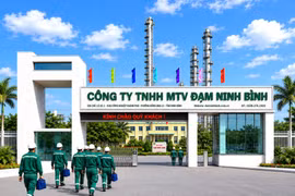 Công ty Đạm Ninh Bình: Phát triển sản xuất gắn với bảo vệ môi trường bền vững