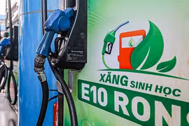 Yêu cầu bảo đảm nguồn cung xăng sinh học trên toàn quốc