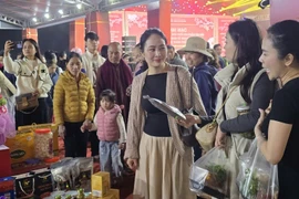 Không gian trưng bày sản phẩm tiêu biểu gắn với hội chợ hoa xuân: Hàng chục nghìn lượt khách tham quan, mua sắm