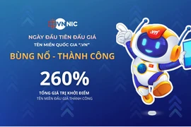 Tên miền quốc gia “.vn” được đấu giá thành công, giá trúng cao nhất 217 triệu đồng