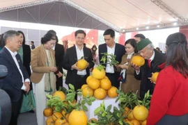 Hà Nội tổ chức không gian trưng bày sản phẩm tiêu biểu gắn kết hội chợ hoa xuân Tết Bính Ngọ 2026