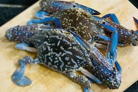 Xuất khẩu ghẹ của Việt Nam tăng nhưng rào cản năm 2026 vẫn còn