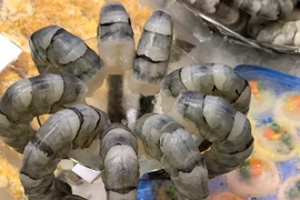 Tôm Việt Nam đi Mỹ đối mặt áp lực trong năm 2026