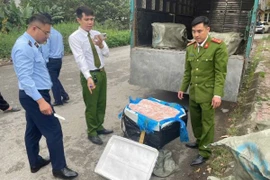 Kiểm tra, thu giữ 600 kg nầm lợn đông lạnh không rõ nguồn gốc