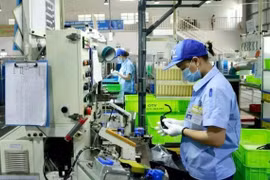 Doanh nghiệp FDI tăng mạnh về số lượng và nguồn vốn