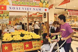 Năm 2030: Người Việt ở đâu, mạng lưới phân phối hàng Việt có ở đó