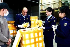 Bị phát hiện khi đang vận chuyển chân gà rút xương, gà ủ muối "trôi nổi" từ Hà Nội lên Thái Nguyên tiêu thụ