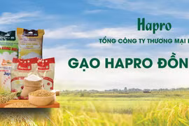 Gạo Hapro Đồng Tháp - Nâng tầm "hạt ngọc" Việt