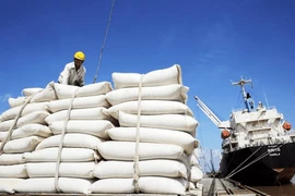 Xuất khẩu gạo của Việt Nam sang Senegal tăng gần 30 lần