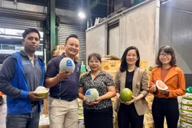 Trái bưởi Việt Nam chính thức được bán tại Sydney
