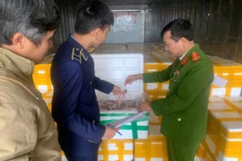 Phát hiện hơn 10 tấn cá khoai chứa chất cấm trên đường đi tiêu thụ