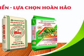 Công ty cổ phần Phân lân nung chảy Văn Điển với công tác bảo vệ môi trường
