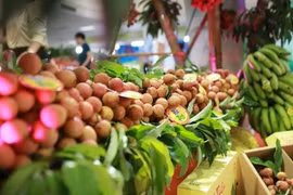 Việt Nam xuất khẩu 2 tỷ USD sang Trung Quốc trong 6 tháng đầu năm