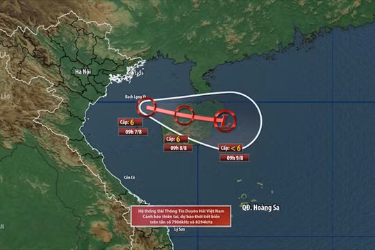 Yêu cầu các địa phương ứng phó với áp thấp nhiệt đới