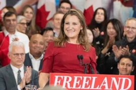 Những gương mặt công dân nước ngoài trong Chính phủ Ukraine