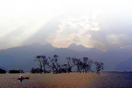 Nhiếp ảnh gia Duy Ngọc bén duyên báo chí và văn chương