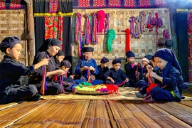 Hội Xuân Bính Ngọ 2026