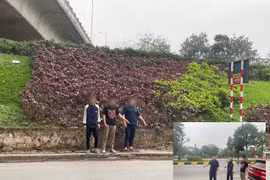 Khi những đứa trẻ bước qua “lằn ranh đỏ” của pháp luật