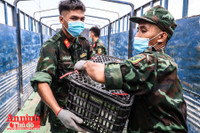 [ẢNH] Xúc động hình ảnh công an, quân đội đội nắng trưa bốc xếp thực phẩm chi viện cho TP. HCM