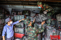 [ẢNH] Xúc động hình ảnh công an, quân đội đội nắng trưa bốc xếp thực phẩm chi viện cho TP. HCM