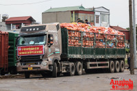 [ẢNH] Xúc động hình ảnh công an, quân đội đội nắng trưa bốc xếp thực phẩm chi viện cho TP. HCM