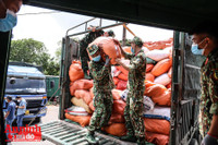 [ẢNH] Xúc động hình ảnh công an, quân đội đội nắng trưa bốc xếp thực phẩm chi viện cho TP. HCM