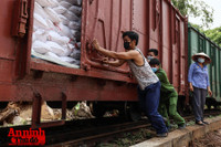 [ẢNH] Xúc động hình ảnh công an, quân đội đội nắng trưa bốc xếp thực phẩm chi viện cho TP. HCM