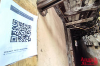 [ẢNH] Những số nhà đầu tiên thiết lập 