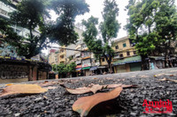 [ẢNH] Những số nhà đầu tiên thiết lập 