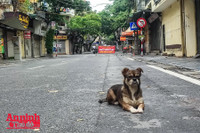 [ẢNH] Những số nhà đầu tiên thiết lập 