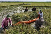 Hình ảnh ấm áp nghĩa tình của Công an Thủ đô trong một ngày dài sát cánh cùng nhân dân chống lũ