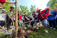 Các nghệ sỹ cùng Công an Thủ đô chung tay trồng cây để 