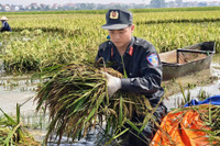 Hình ảnh ấm áp nghĩa tình của Công an Thủ đô trong một ngày dài sát cánh cùng nhân dân chống lũ