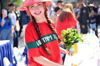 Các nghệ sỹ cùng Công an Thủ đô chung tay trồng cây để 