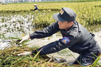 Hình ảnh ấm áp nghĩa tình của Công an Thủ đô trong một ngày dài sát cánh cùng nhân dân chống lũ