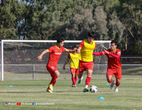 ĐT Việt Nam ra sân tập ngay sau khi đến Australia