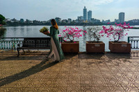 Đẹp ngỡ ngàng mùa hoa giấy nở rộ đầu đông bên hồ Trúc Bạch