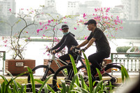 Đẹp ngỡ ngàng mùa hoa giấy nở rộ đầu đông bên hồ Trúc Bạch