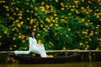 Cảnh đẹp như tranh của vườn hoa dã quỳ ngay giữa lòng Hà Nội 