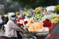 Hà Nội: Thanh niên đi cầu duyên, bái vọng ở chùa Hà trong ngày Phụ nữ Việt Nam